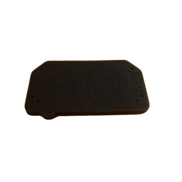 Air Filter PW80 152011