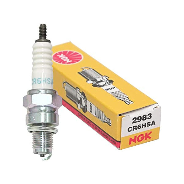 CR6HSA ngk plug